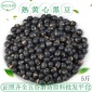 批发熟黑豆低温烘焙五谷杂粮黄仁黑豆磨粉豆浆用黑豆一件代发
